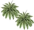 TWO 24" Artificial Ruffle Fern Bushes