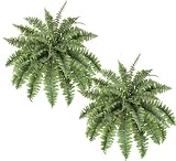 TWO 24" Artificial Ruffle Fern Bushes