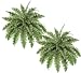 TWO 24" Artificial Ruffle Fern Bushes
