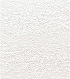 Bazzill Metallic 12''X12'' Crdsk 25/PK-Luster