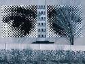 Abstract Artwork on Building Exterior with Bare Tree Branches in Ottawa Photographic Poster Print, 16x12