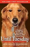 Until Tuesday: A Wounded Warrior and the Golden Retriever Who Saved Him