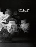 Paul Emsley: The Light of Meaning