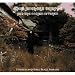 Album cover and album title spoofs by the Acid Mothers Temple