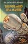 Tom Swift and his Dyna-4 capsule (His The new Tom Swift, Jr., adventures, 31)