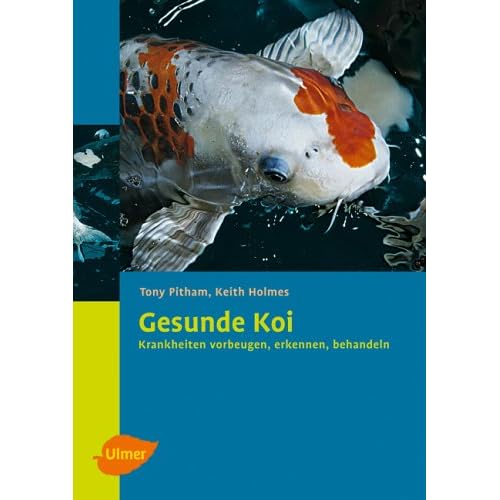 Koi