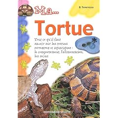 Ma tortue