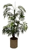 Review i-koncepts Ltd  / 5ft Mini Palm - Artificial Plant