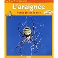 L'araign�e : Petite f�e de la soie