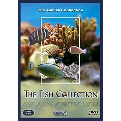Collezione Fish - set di 6 dischi - Fish Collection