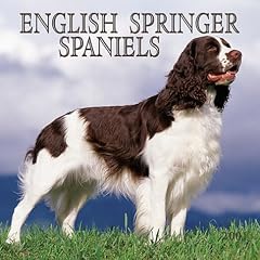 English Springer Spaniels 2001 Calendar