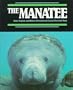 Manatee (Endangered in America)