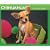 Chihuahuas 2009 Boxed Calendar