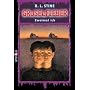 Gruselfieber 04. Zweimal ich