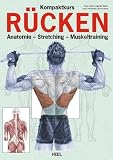 Kompaktkurs R&uuml;cken: Anatomie - Stretching - Muskeltraining