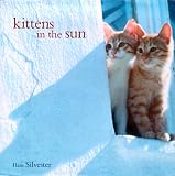 Kittens in the Sun
