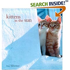 Kittens in the Sun