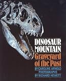 Dinosaur Mountain : Graveyard Of The Past