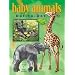 Baby Animals Dot-to-Dot