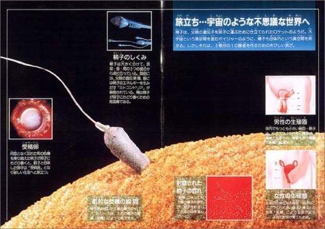 Cover image : NHK まんが 驚異の小宇宙・人体〈第1巻〉生命誕生/心臓・血管