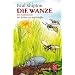 Die Wanze: Ein Insektenkrimi
