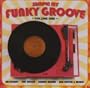 Sample My Funky Groove, Vol. 1