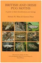 British and Irish Pug Moths - A Guide to Their Identification