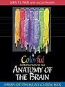A Colorful Introduction to the Anatomy of the Human Brain: A Brain and Psychology Coloring Book