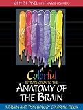 A Colorful Introduction to the Anatomy of the Human Brain: A Brain and Psychology Coloring Book
