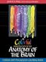 A Colorful Introduction to the Anatomy of the Human Brain: A Brain and Psychology Coloring Book