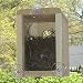 Coveside Window Nest Box
