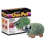 Chia Hippo Collectable