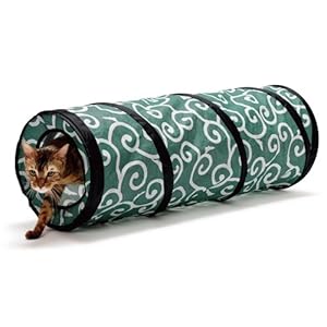 Ninja Cat Tunnel (green)