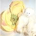 Gund Barton's Creek Artist Design Angel Bear Pia