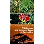 A Traveller's Guide to the Wildflowers and Common Trees of East Africa
