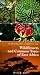 WILDFLOWERS AND COMMON TREES OF EAST AFRICA
