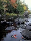 The 100 Mile Wilderness section of the Appalachian Trail, Maine, USA Art Photographic Poster Print by Jerry & Marcy Monkman, 12x16