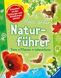 Mein erster Naturf&uuml;hrer - Angelika Lenz