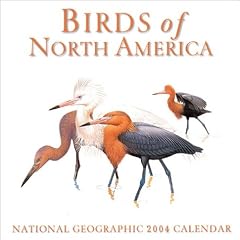 Birds of North America 2004 Calendar