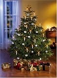 TV Das Original Kerzenzauber Weihnachtsbeleuchtung kabellos Indoor silber, 10 Kerzen