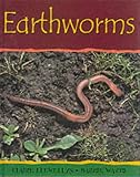 Earthworms (Minibeasts)