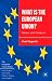Book cover of What is the European Union.