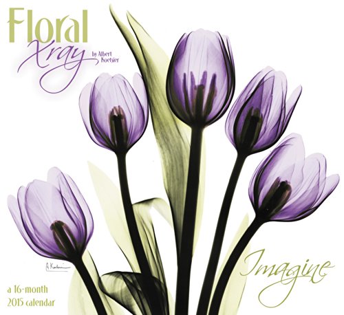 Floral X-Ray Wall Calendar (2015)