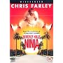 Beverly Hills Ninja