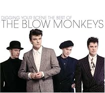 Digging Your Scene: The Best of The Blow Monkeys