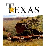 art of the state texas