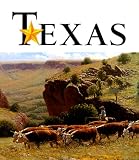 Art of the State: Texas (Art of the State)