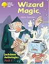 Oxford Reading Tree: Stages 8-11: Jackdaws: Wizard Magic (Pack 1)