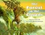 The Forest in the Clouds