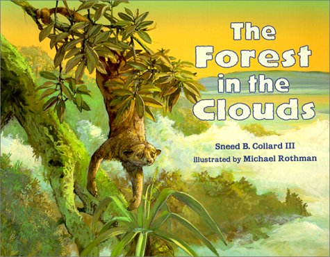 The Forest in the Clouds